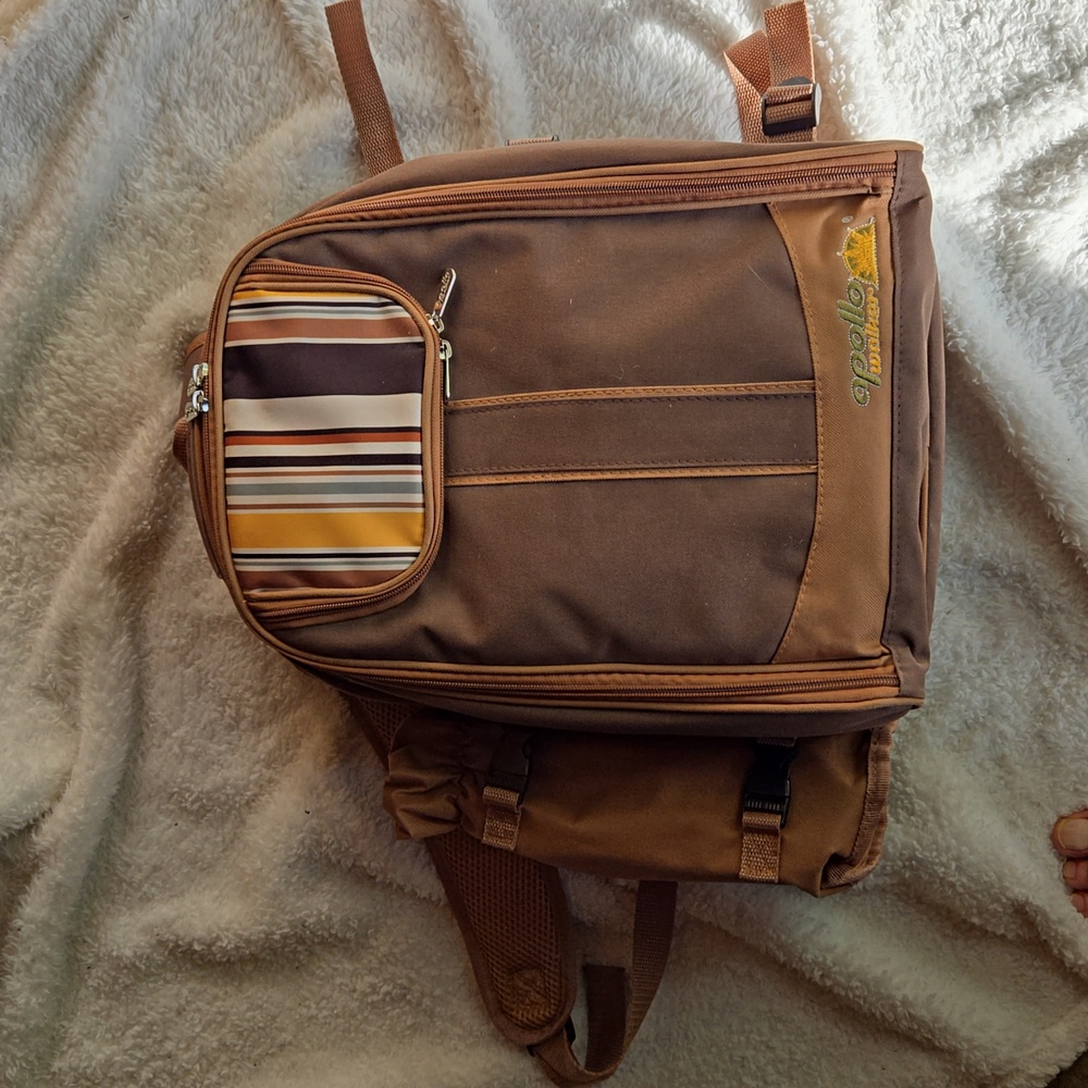 Apollo Walker backpack picnic set for two